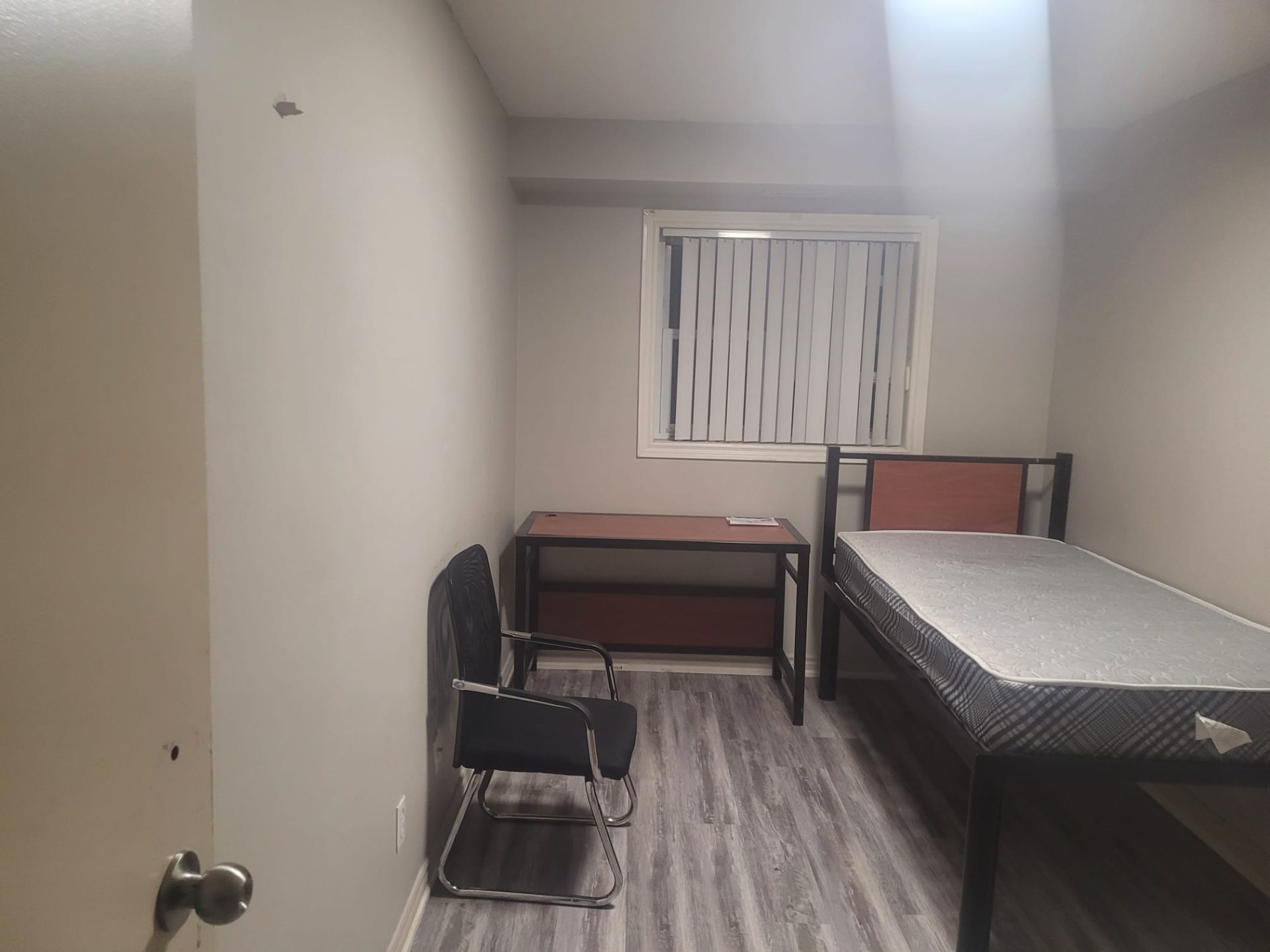 Private room in waterloo female only