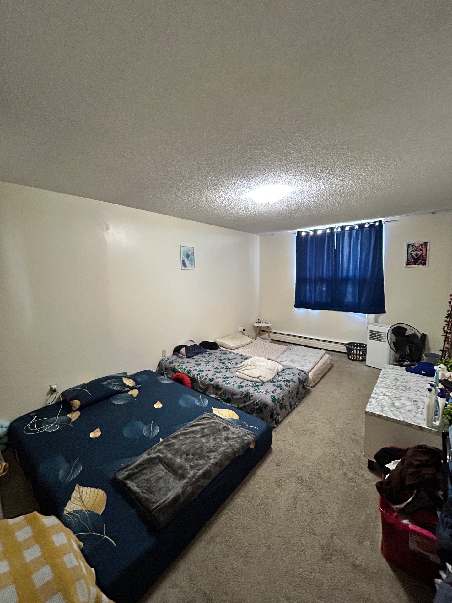 SHARING ROOM AVAILABLE – DOWNTOWN SASKATOON  LIVE SMART. LIVE DOWNTOWN.  ONLY $290 / MONTH  Available From: September 1st